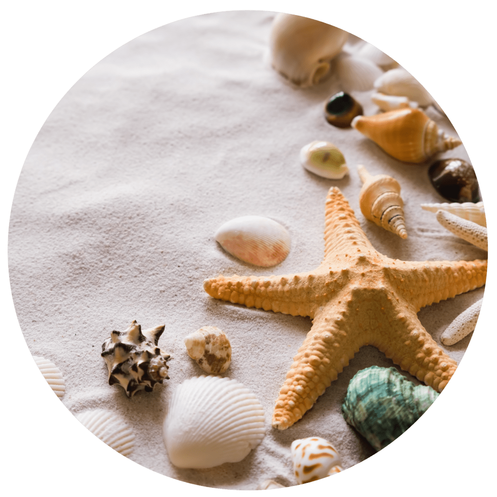 Ocean Sunset and Seashells - Ceramic Coasters (Set of 2)
